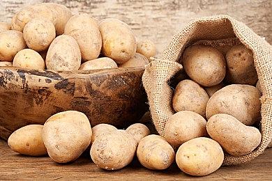 复古像素RPG游戏《星之海》玩家突破600万